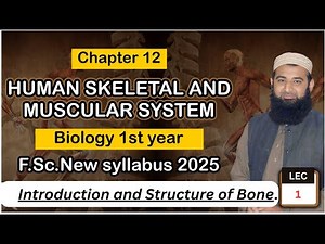 Structure of bones| Human Skeletal and muscular system | Chapter 12| F.Sc. 1st Year Biology | Lec# 1