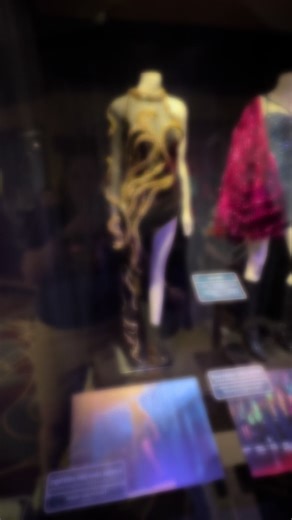 Taylor Swift's Eras Tour Outfits at Disney World