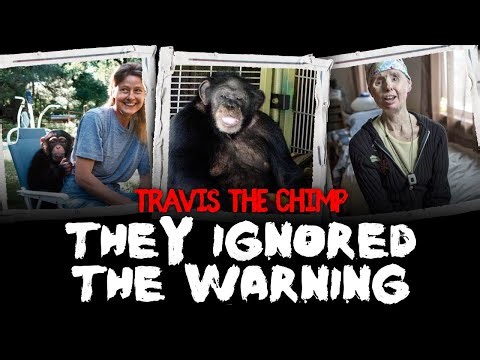 Travis the Chimp: The True Story Behind the Chimpanzee Attack on Charla Nash