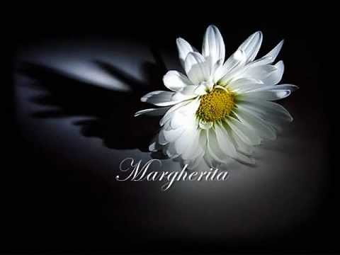 Margherita - Riccardo Cocciante (with lyrics)