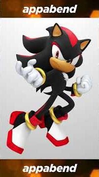 Sonic Fans MORAL POLICE Fans!