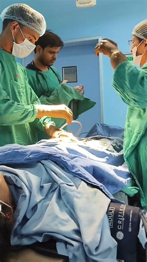 little champion come in the world