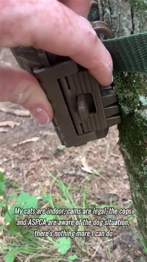 Neighbor war #karen #karens #karensgonewild #badneighbors #neighborfromhell