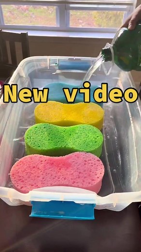 spongesyummy على TikTok