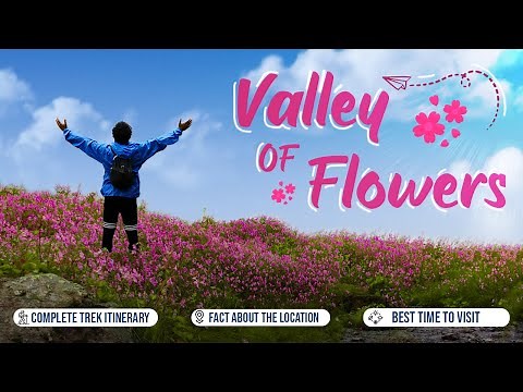Journey to the Valley of Flowers 🌸 | Complete Trek Guide & Tips by Trek The Himalayas