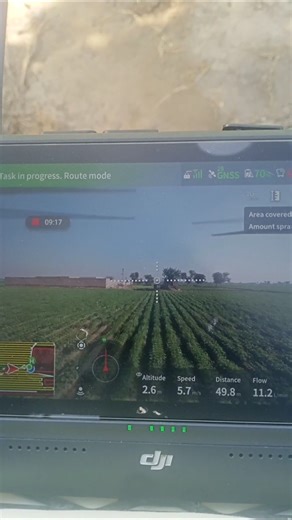 Spray On Potatoes || DJI Agras T25 Spray Drone || #shorts #techabdullahjatoi