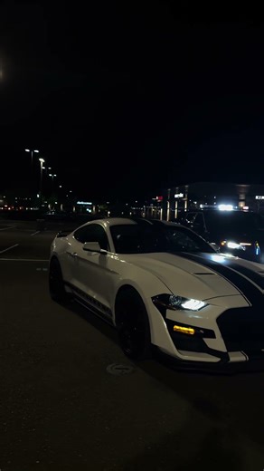 Whoops😱😱 police fw the pics so didn’t gave me a ticket 🫱🏾‍🫲🏼#audi #mustang #police #cars
