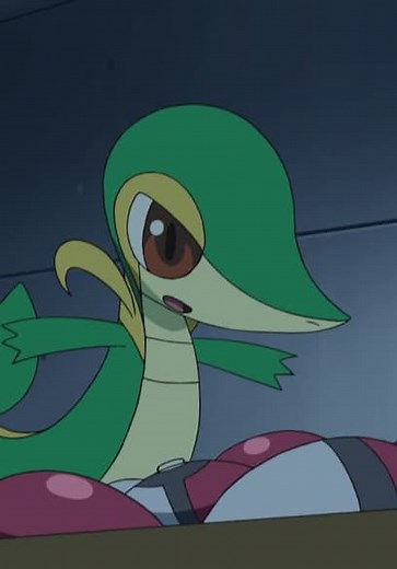 Pokémon the Series: Black & White S14:E48 - Battle for the Underground!