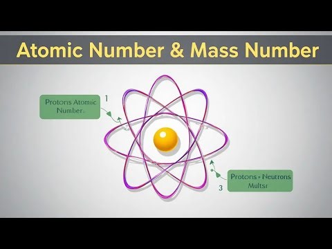 Atomic Number & Mass Number | Simple Science Explanation