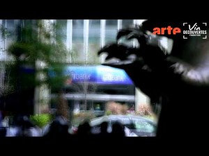 Nature, le nouvel eldorado de la finance-Bonus-2