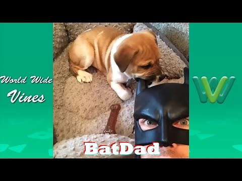 New BatDad Vine Compilation (All Vines) | Best BatDad Vines 2018