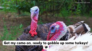 Turkey Hunting Instagram Captions: Inspiring Quotes and Sayings for Your Hunting Adventures