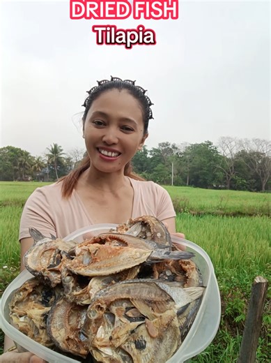 Delicious Dried Fish Recipes Using Tilapia