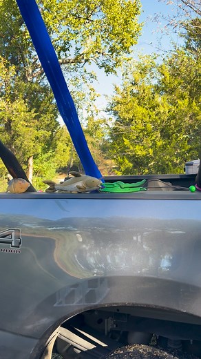 Michael Scherer on Reels