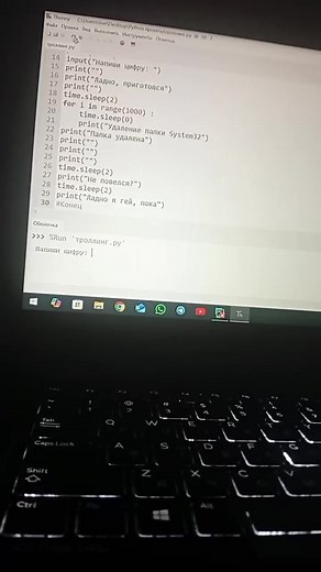 Уроки Python на Thonny: Начало программирования