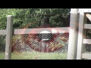 The Lost Camera (Found Footage Film)