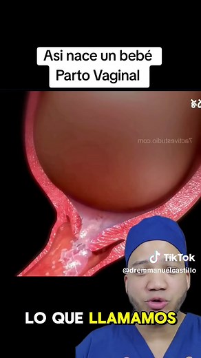 Parto Natural: Cómo Nace un Bebé en Proceso Realista