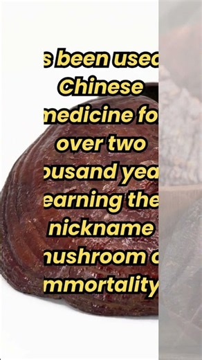 Reishi. Benefits