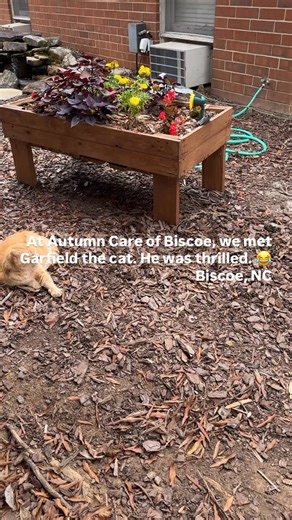 Garfield the cat and some ducks and geese said hello upon our arrival at Autumn Care of Biscoe health care center today. We are seeking local volunteers in the Biscoe NC area to help with the LifeBio Project. #reallifestories #reminiscencetherapy #lifebioroadtrip this is a Saber Healthcare community! Beautiful | LifeBio