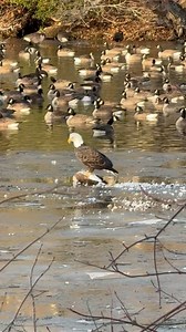 Borough of Hightstown, NJ on Reels
