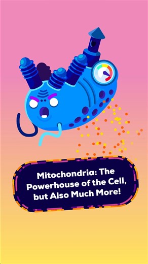 9.5K views · 305 reactions | Mitochondria might be a powerhouse of the cell, but it is much more than just that! | Kurzgesagt | Facebook