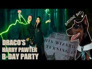 Loyal Dobermans celebrate a magical Harry Potter birthday