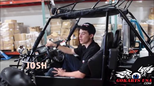 BMS 800cc Go Kart  | 3-Speed 4WD