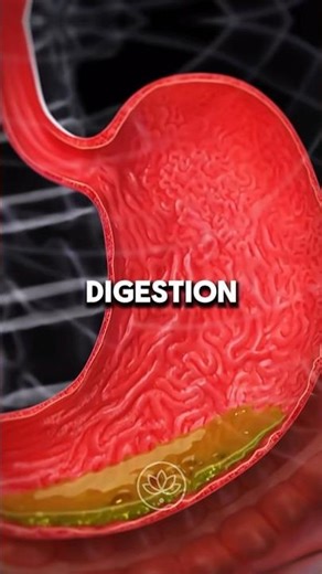 These 6 habits are silently destroying your gut health ⚠️🧠 #shorts