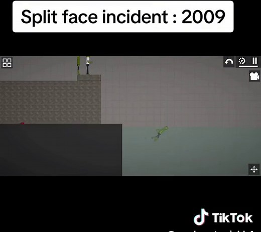 Split Face Diving Incident 2009: Shocking Animation Reveal