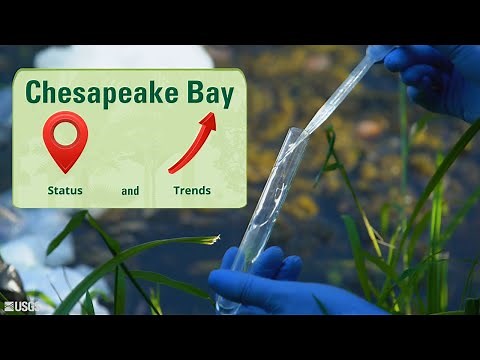 Chesapeake Bay Status and Trends