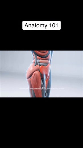 40 reactions · 5 comments | OK, this might be rage bait, and I’m sure...