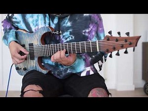 Hufschmid 7 string clean tones by Matt Tera! 🐬