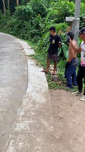 Doming on board🫡 | Ligiron Extreme