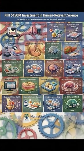 NIH $150M : AI & Human-Based Science Replacing Animal Testing! #medicine ‪@AIinGeneralMedicine‬