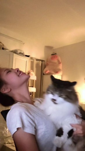 ứng dụng xhamter: hướng dẫn tìm và tải xhamster phiên bản tiếng Tây Ban Nha