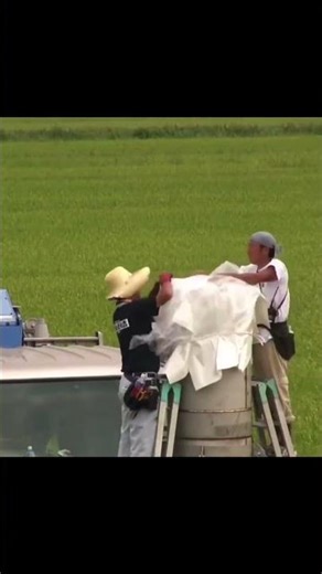 JAPAN 24"/2feet huge display shell fireworks