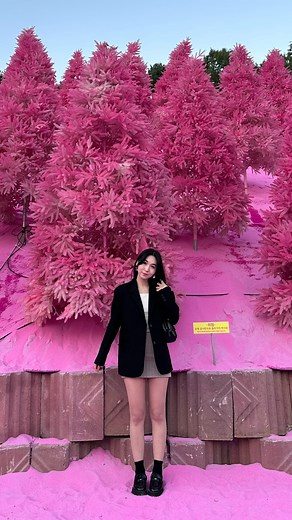 Acelle 아셀 on Instagram: "5 more BTS masterpieces 🩷 #btssongs #btsalbums #btsalbumcollection #btsmerch #btscollector #btsaesthetics #btsedits #btsmusic #btssong #btslyrics #btsarmy #btsmerchandise #btsalbum #btsupdates #btsconcerts"