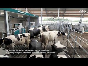 GEA Dairy Farming - GEA DairyRobot R9500 - Frank Boks