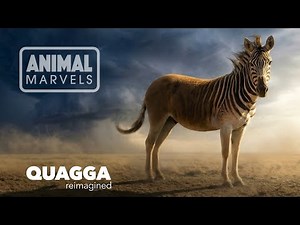 The Quagga: Why Nature Painted Halfway, Then We Erased Forever