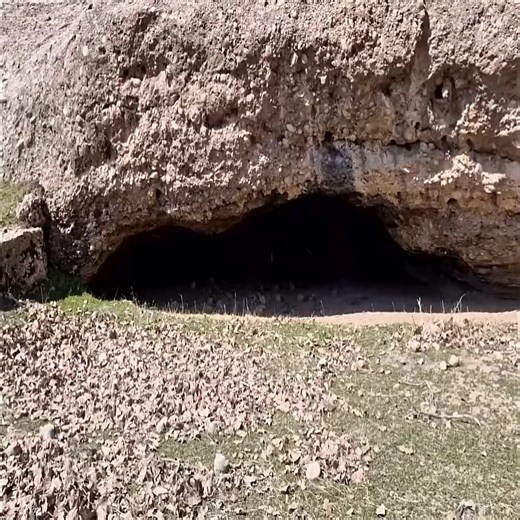 51K views · 535 reactions | You will be amazed at the structure of this underground shelter.Wolves are in Ambush Part 1 | Survival Expeditions | Facebook