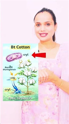Bt Cotton Explained in 30 Seconds | Genetically Modified Crop | Biotechnology