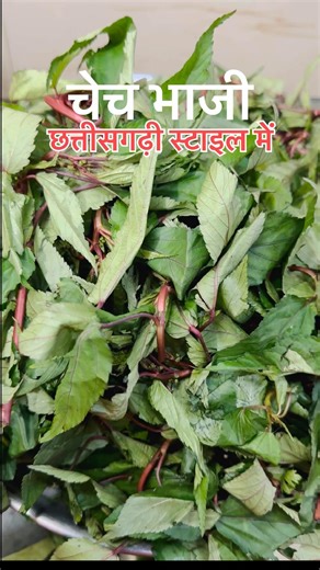 चेच भाजी रेसिपी ।#Chechbhaji #chech #bhaji #cgcooking #cgshorts #cgviralfood #cgnews #shorts