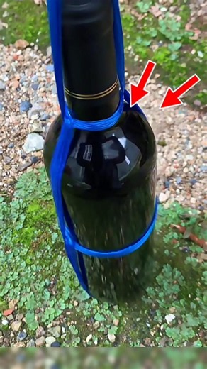 The Genius String Hack to Carry Any Bottle! 🍾