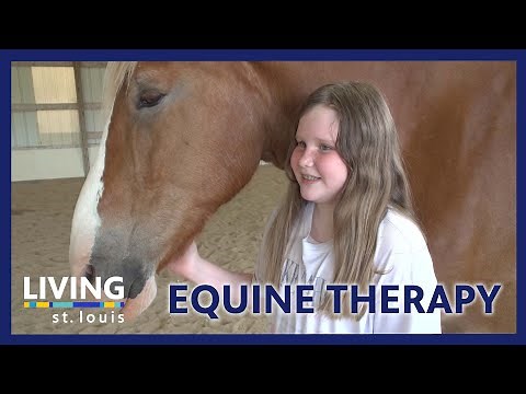 Equine Therapy for the Mental Well-Being of Children | Living St. Louis