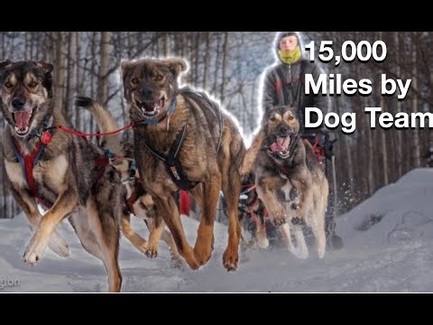 Racing Across Alaska with a Team of Champion Sled Dogs