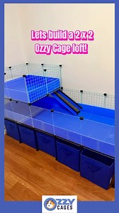 Build a 2x2 Loft with me! The Ultimate Ozzy C&C Cage Upgrade for your Guinea Pigs ✨ #guineapig #guineapiglove #cavylife #furryfriends #wheekwheek #guineapiggyfans #petlover | Guinea Pigs Australia
