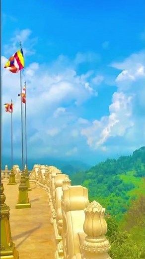 දිව්‍ය ලෝකෙ කියලද හිතුවෙ? #shortvideo