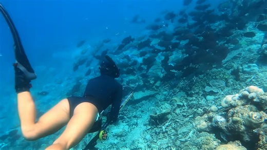 We can't stay here - and the sharks were already circling