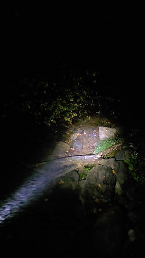 3.8K views · 66 reactions | Crazy! Rain for 2 days and the ground soaked it all up still not much flow in the small creeks!  hope the brookies are doing ok! | Tony Van Horn | Facebook