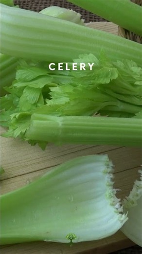 Good Companion Plants For Cabbage